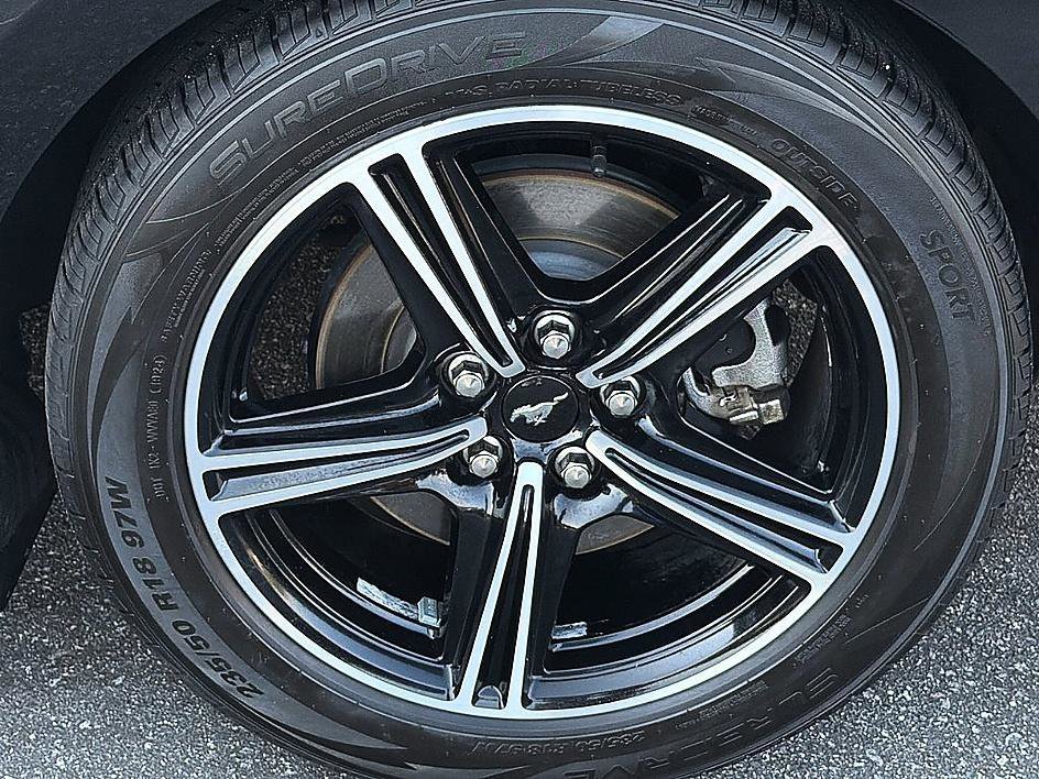 Used 2024 Shadow Black Ford EcoBoost image 7