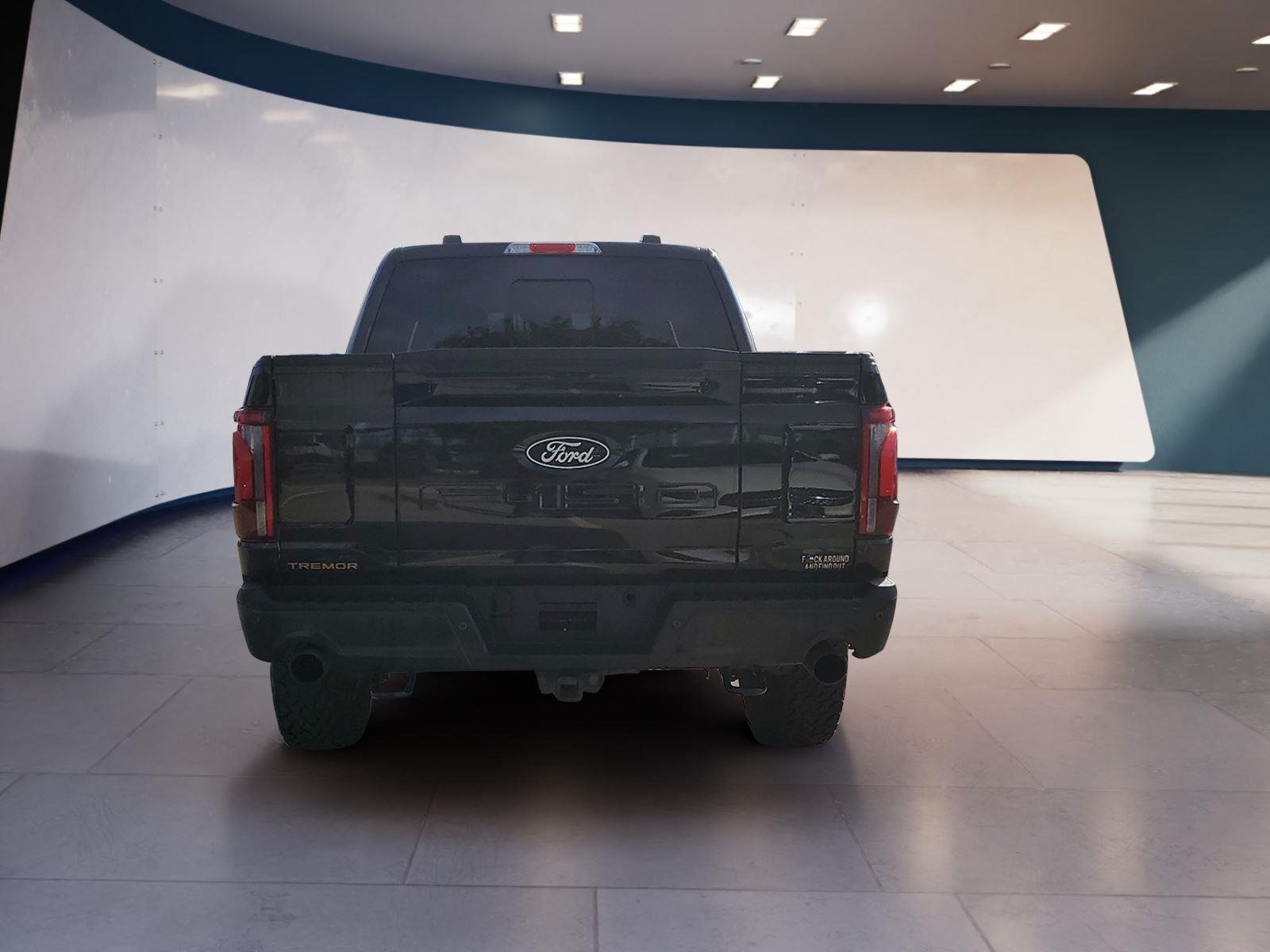 2024 Ford F-150 Tremor - Photo 4
