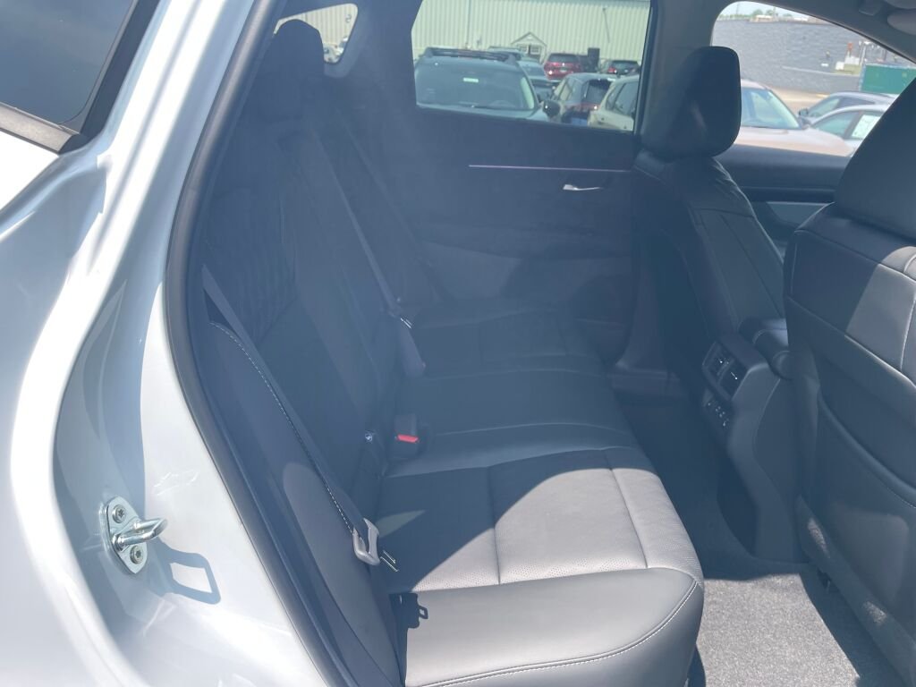 New 2026 Everest White Pearl Tricoat Nissan Platinum image 21