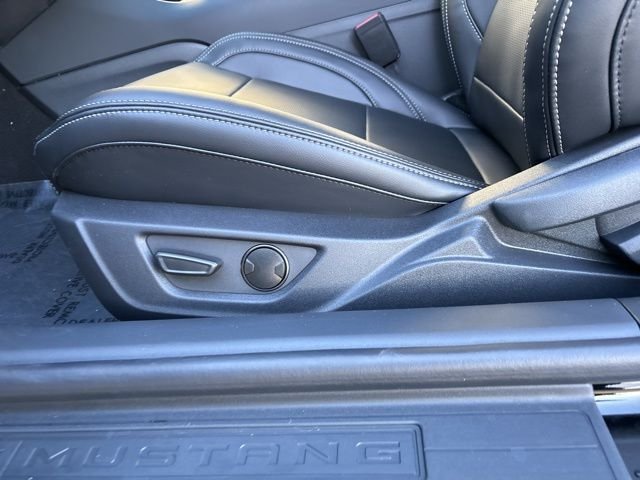 New 2026 Shadow Black Ford EcoBoost Premium image 13