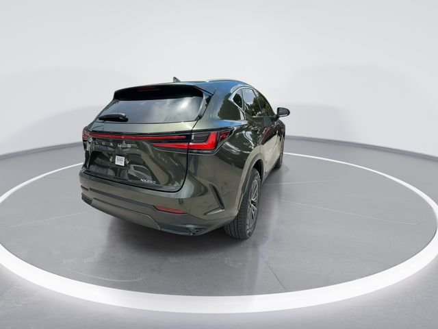 2025 Lexus NX 250 - Photo 7