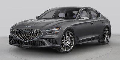 New 2027 Vik Black Genesis Standard image 1