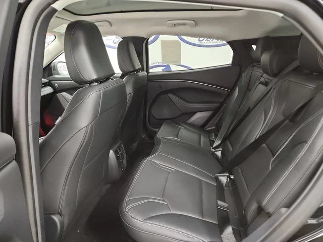 New 2026 Shadow Black Ford Premium image 13