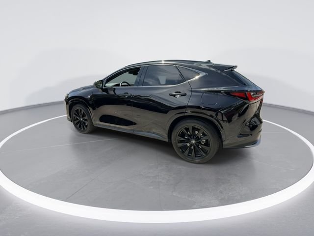2024 Lexus NX 350 - Photo 5