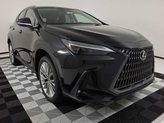 2026 Lexus NX 350 Luxury - Photo 6