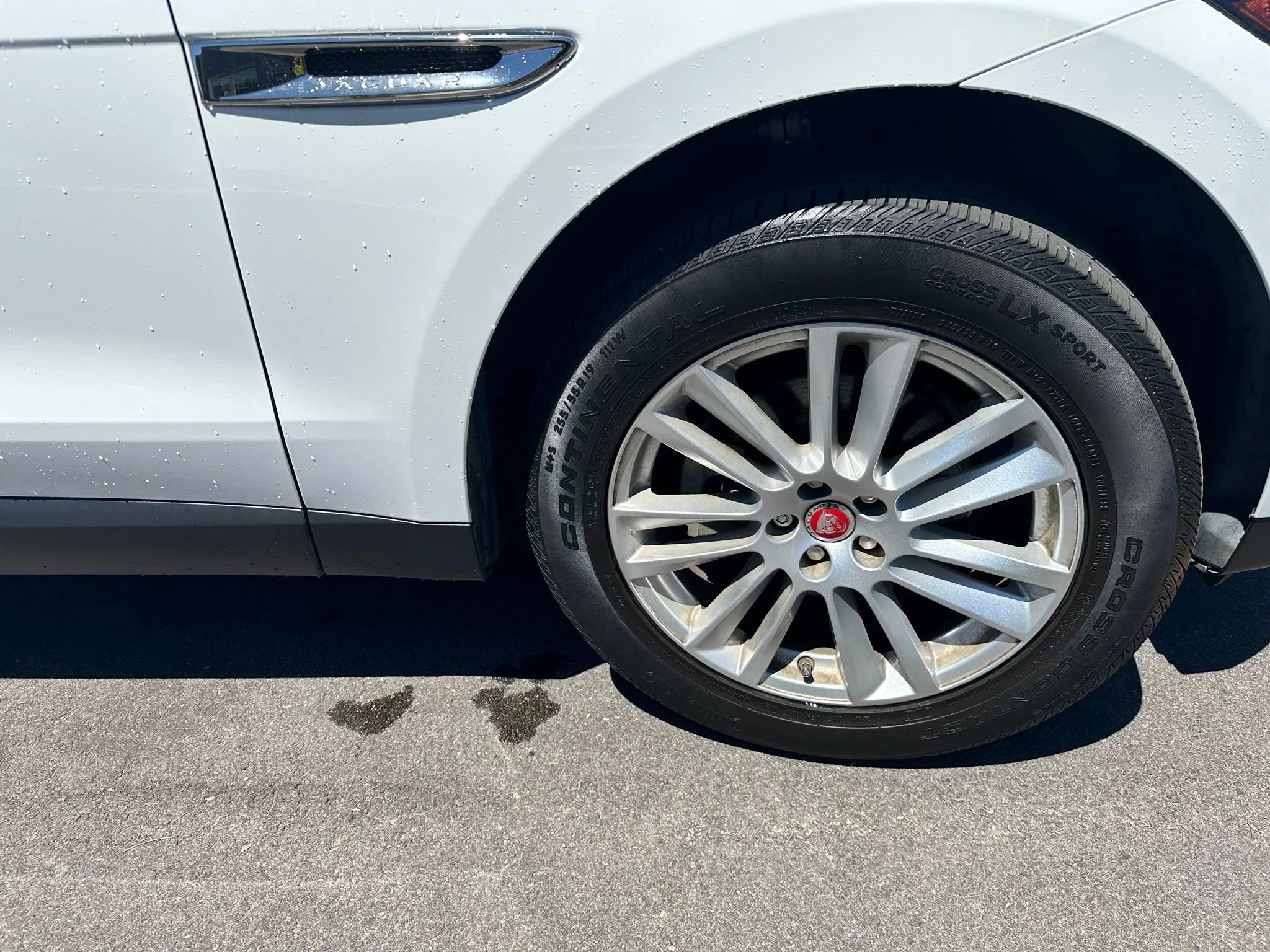Used 2019 Fuji White Jaguar 25t Prestige image 10