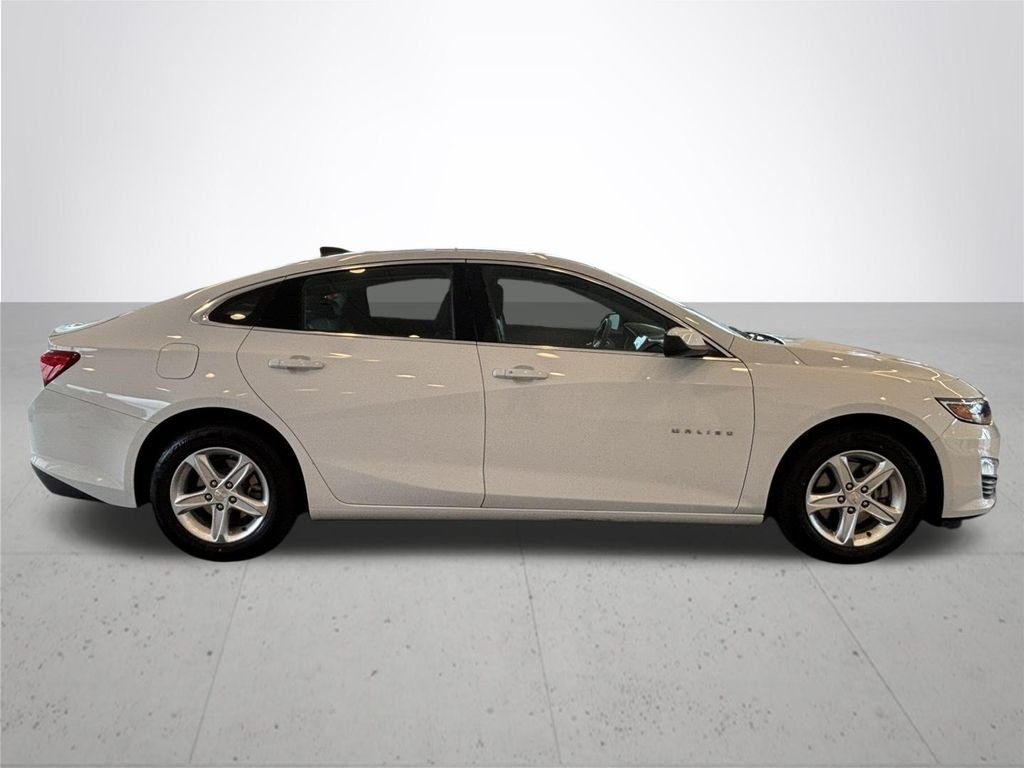 Used 2020 Summit White Chevrolet LS image 6