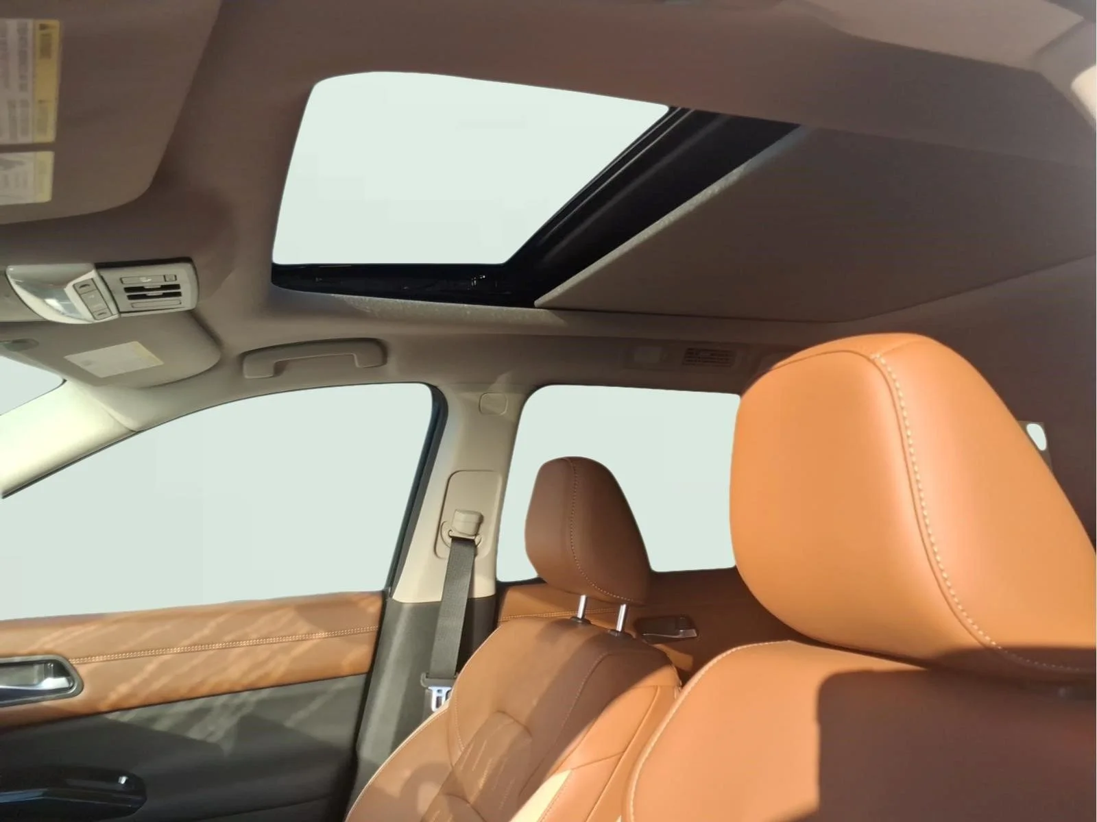 New 2026 Everest White Pearl TriCoat Nissan Platinum image 13