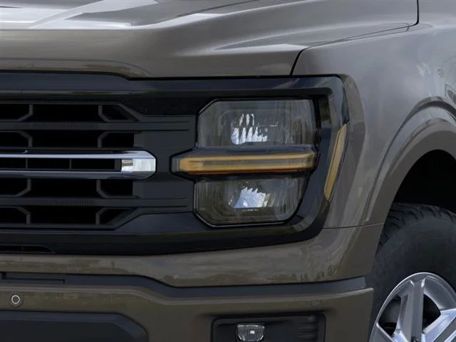 New 2026 Marsh Gray Ford XLT image 18