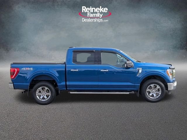 Used 2023 Blue Metallic Ford XLT image 4