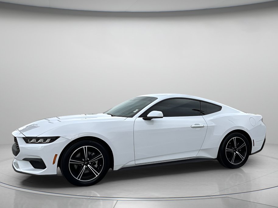 Used 2024 Oxford White Ford EcoBoost image 1