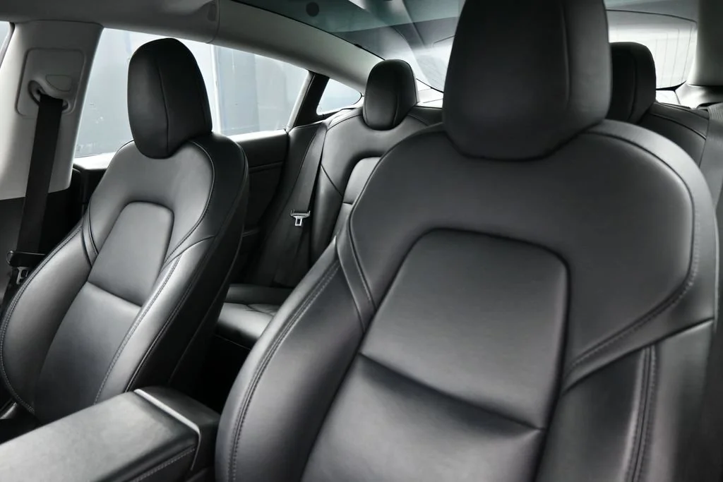 Used 2019  Tesla Standard Range Plus image 12