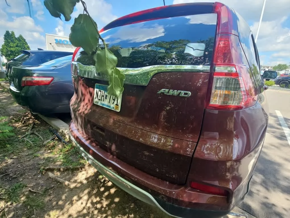 Used 2016 Copper Sunset Pearl Honda EX image 5