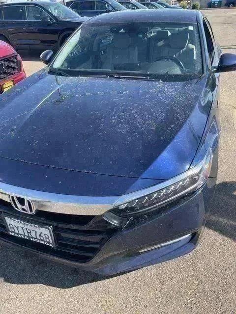 2019 Honda Accord Hybrid Touring's photo
