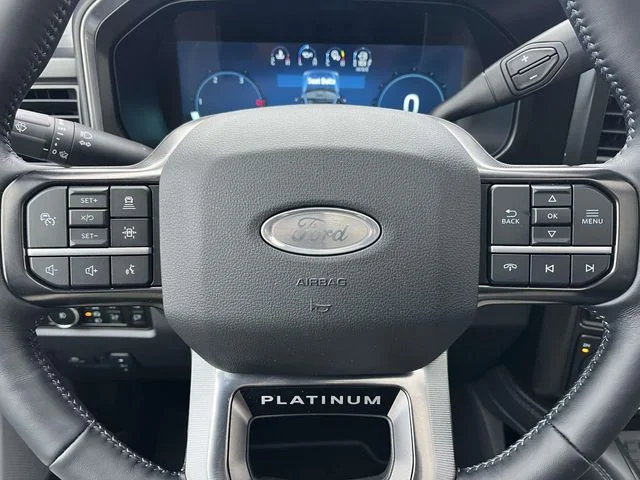 New 2026 White Ford Platinum image 15
