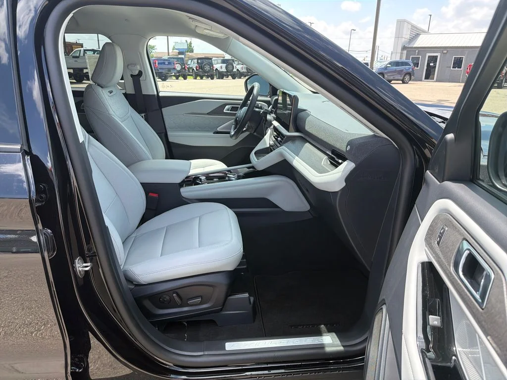 New 2026 Black Ford Platinum image 13
