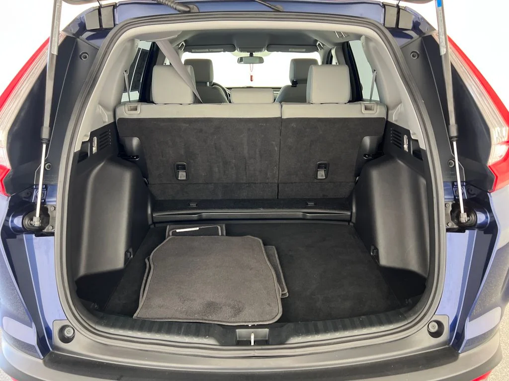 Used 2019  Honda LX image 24