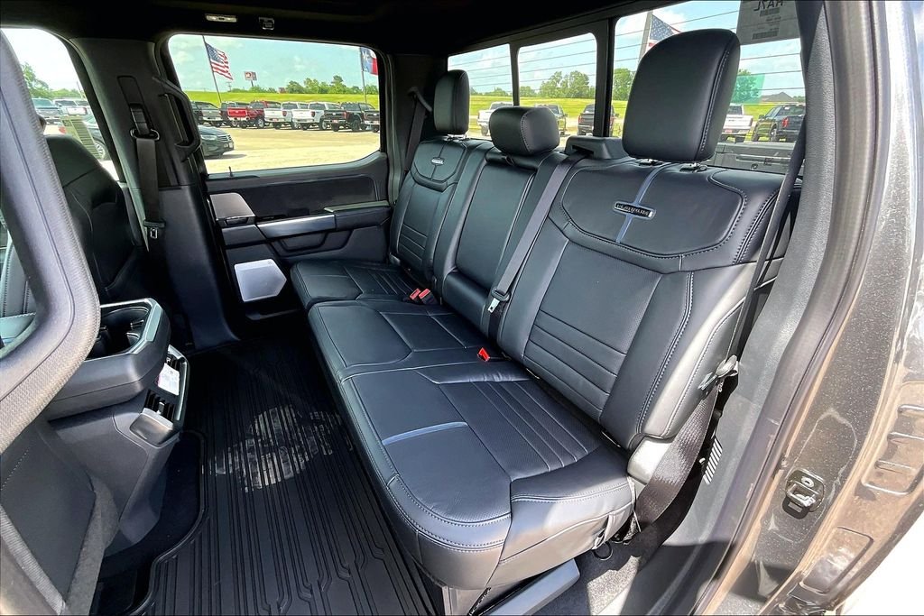 2025 Ford F-150 Platinum - Photo 24