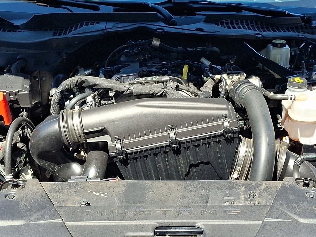 Used 2024 Gray Ford EcoBoost Premium image 27