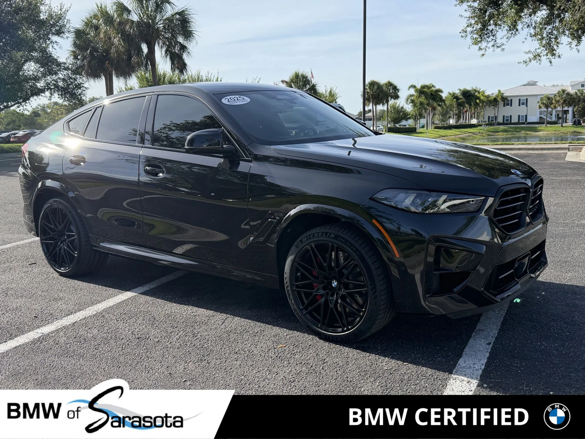 2025 BMW X6 M Competition's photo