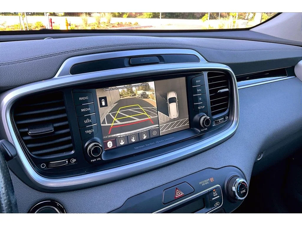 Used 2020 Imperial Blue Kia SX V6 image 21