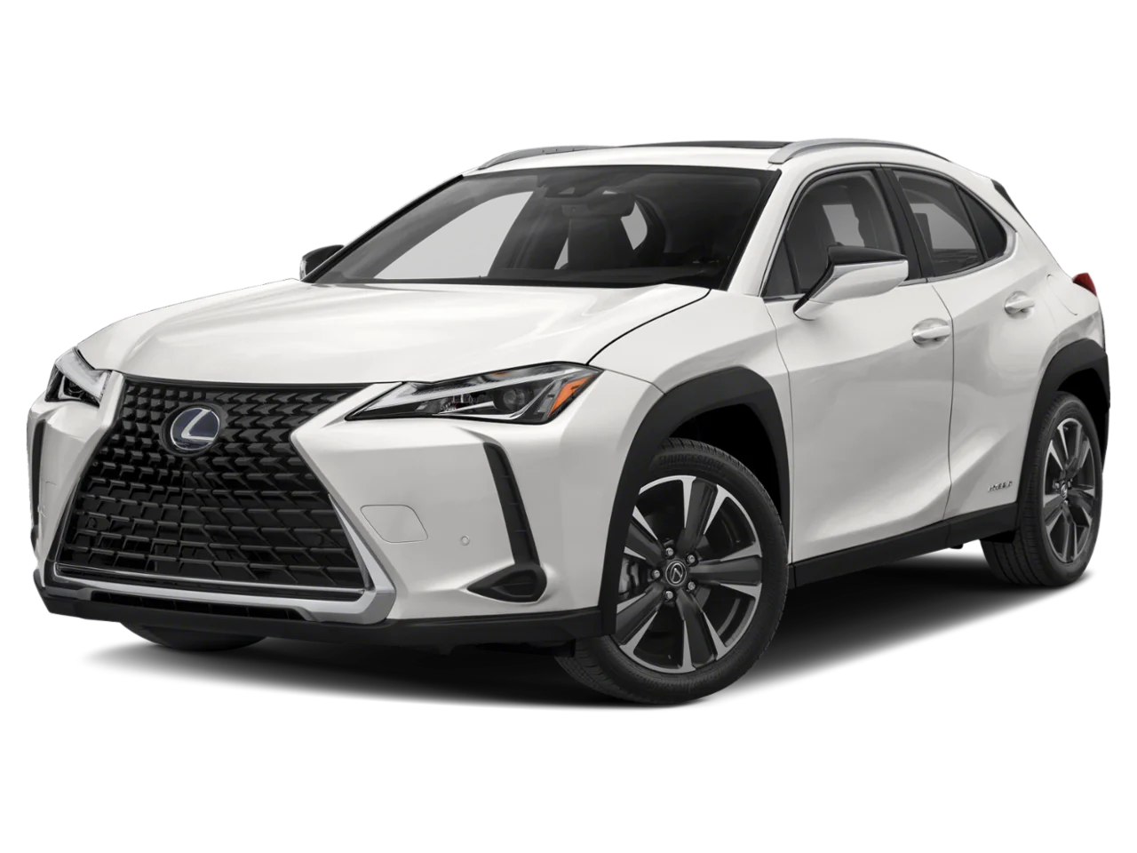 2021 Lexus UX 300h 250h AWD's photo
