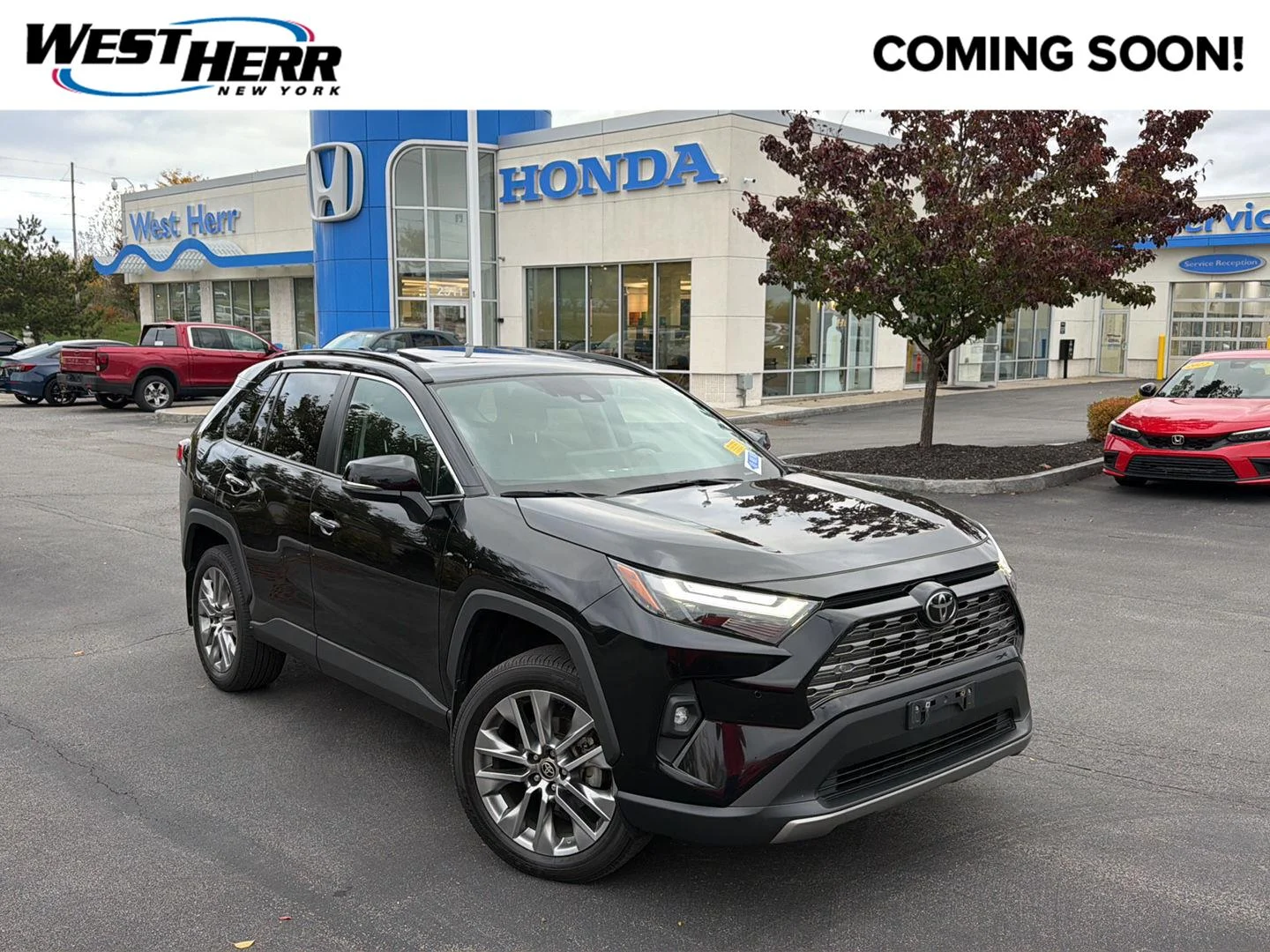 2024 Toyota RAV4