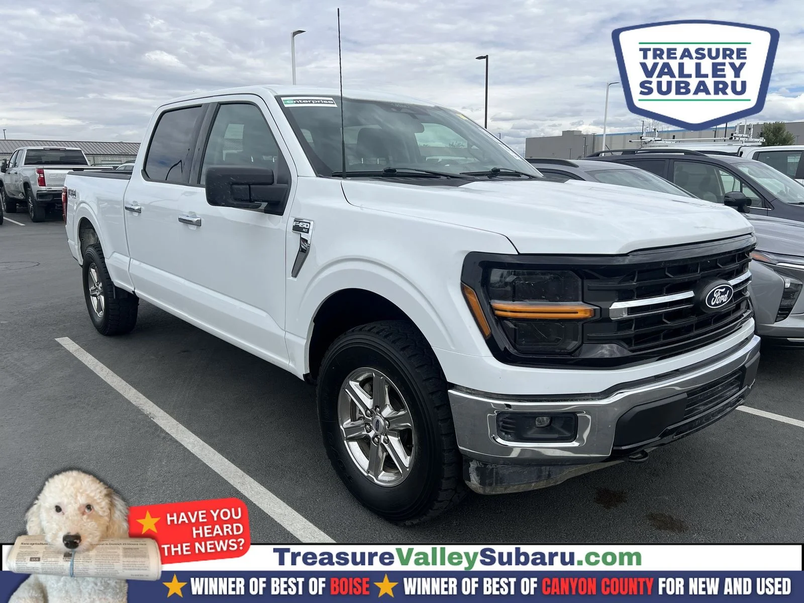 Used 2025 White Ford XLT image 1