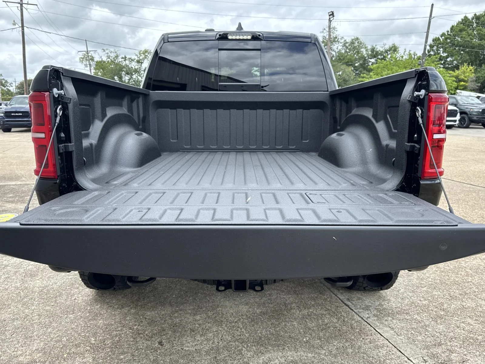 New 2026 Diamond Black Crystal Pearl-Coat Exterior Paint RAM RHO image 6