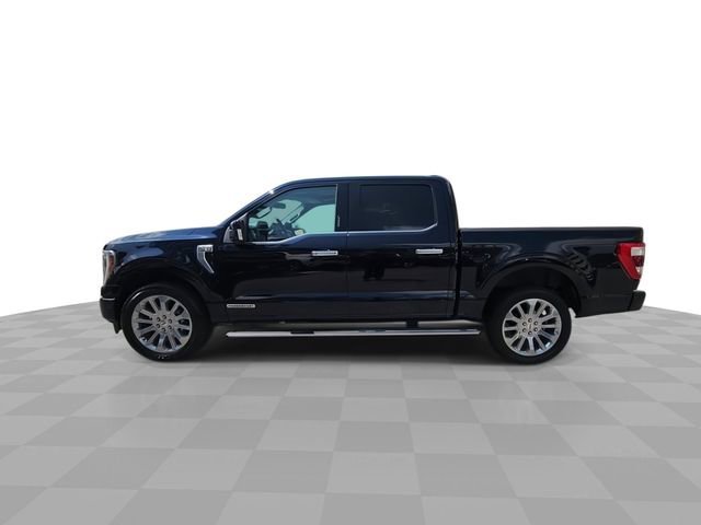 View 5