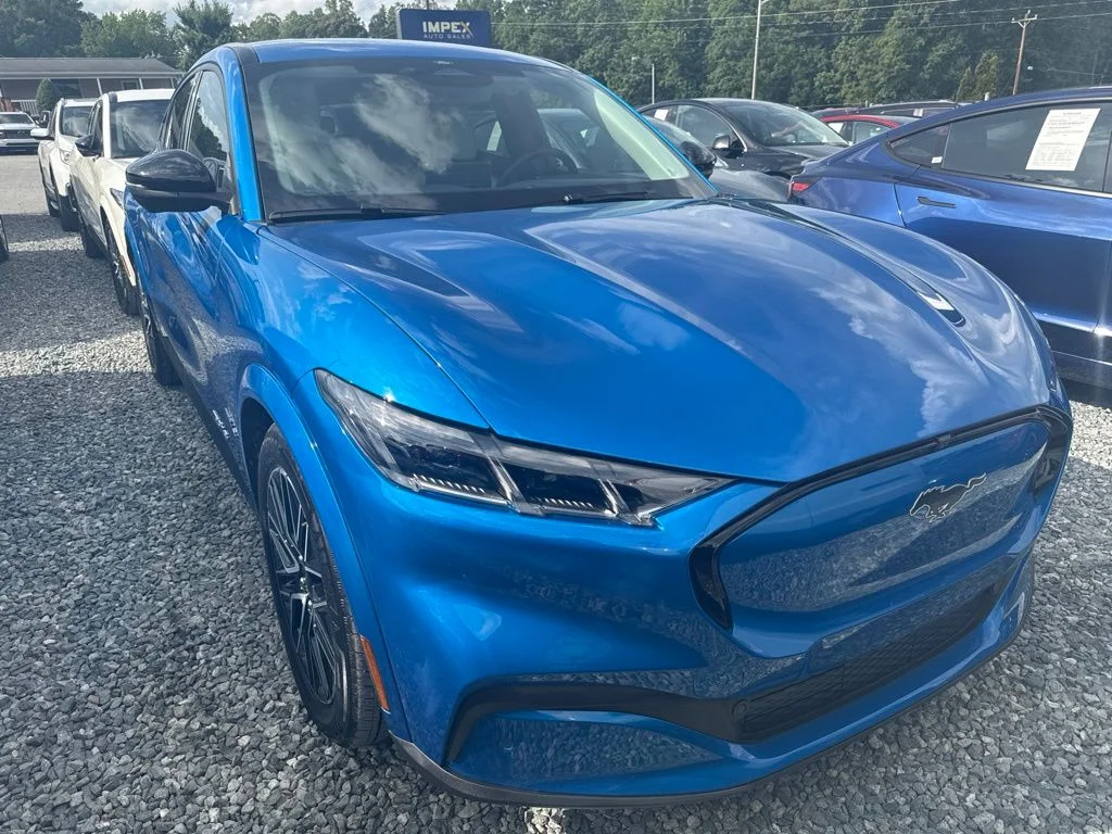 Used 2025 Blue Ford Premium image 2
