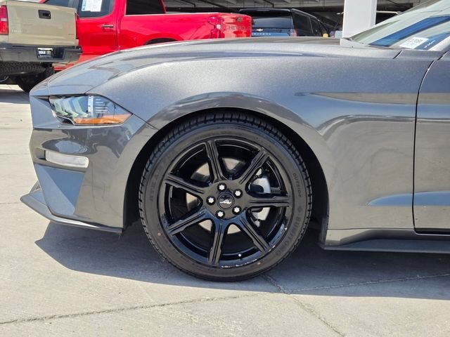 Used 2020 Gray Ford EcoBoost Fastback image 9