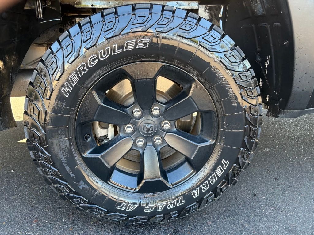 Used 2022 Black Ram Rebel image 6
