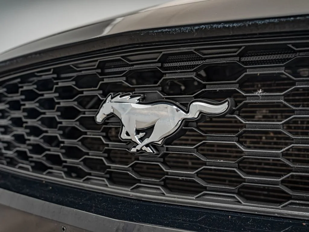 Used 2017 Shadow Black Ford EcoBoost Premium image 13