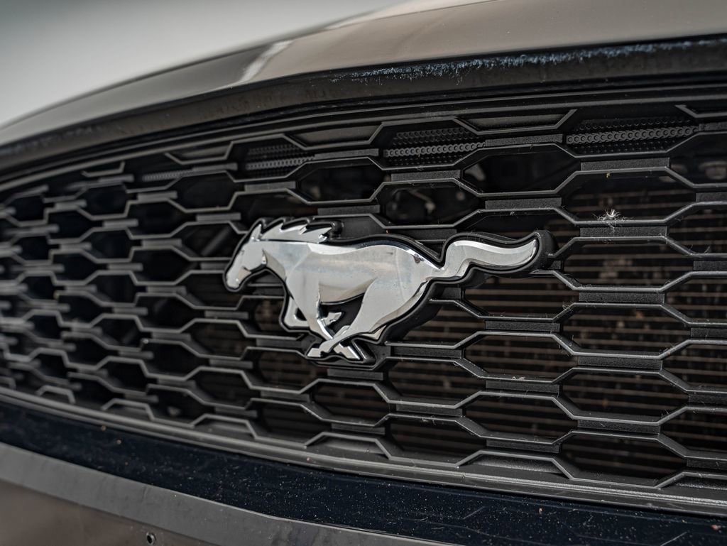 Used 2017 Shadow Black Ford EcoBoost Premium image 13