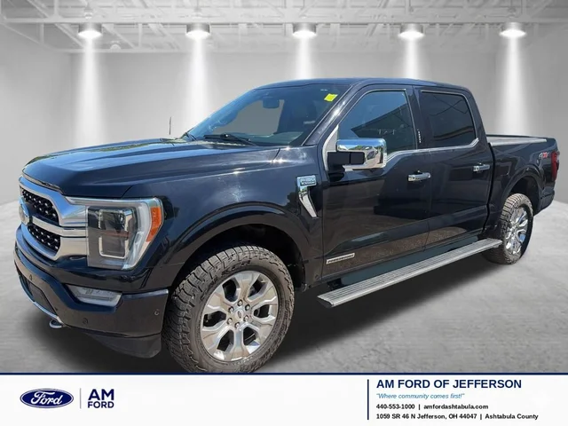 2021 Ford F-150 Platinum
