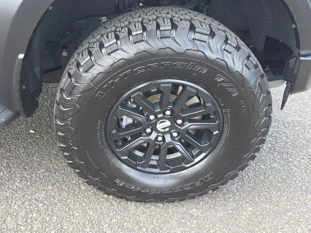 2025 Ford F-150 Raptor - Photo 20