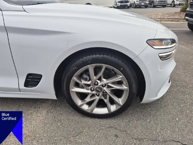 Used 2022 White Genesis 2.0T image 10