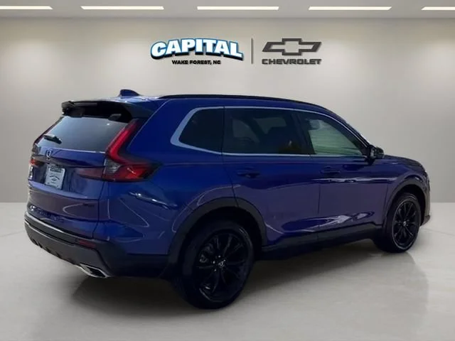 Used 2024 Blue Honda Sport image 8
