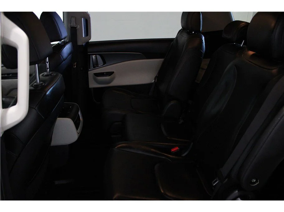 Used 2024 Panthera Metal Kia LX image 24