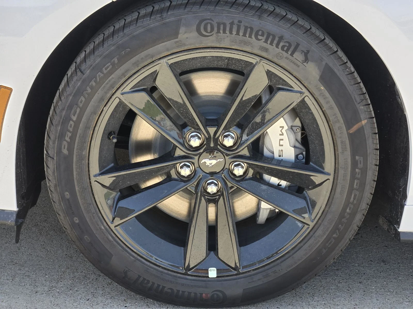 New 2026 Oxford White Ford GT Fastback image 7