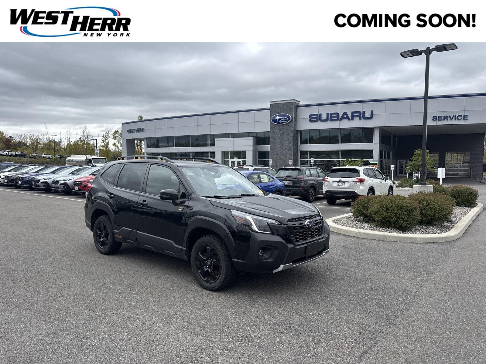 Used 2023 Crystal Black Silica Subaru Wilderness image 1