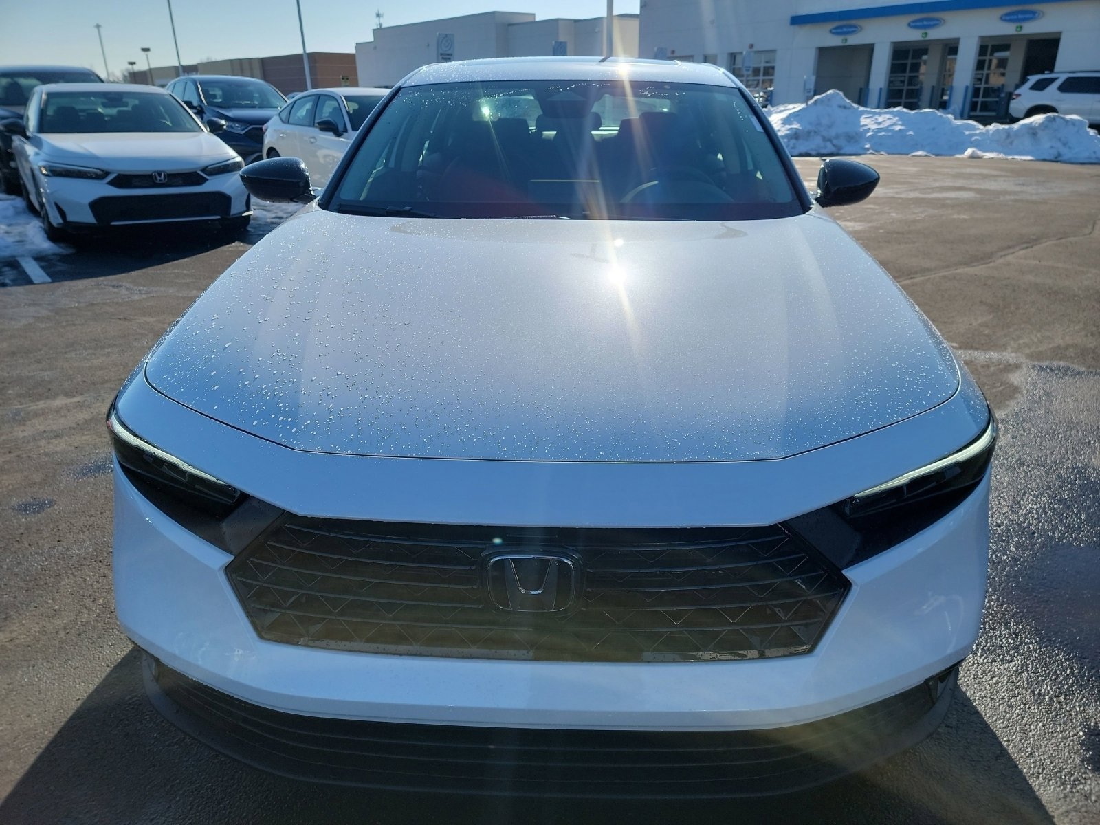 New 2026 Platinum White Pearl Honda SE image 2