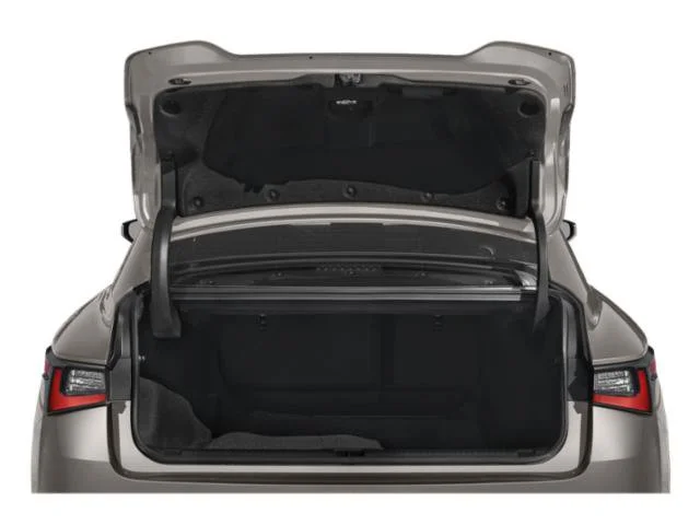Used 2021 Iridium Silver Lexus 300 image 11