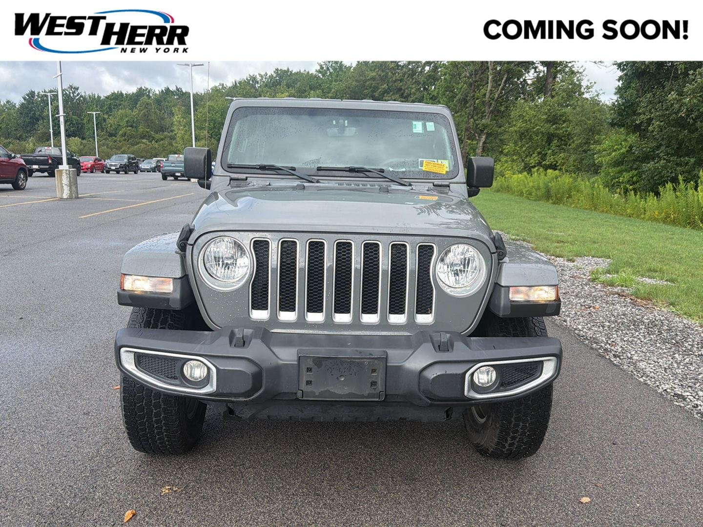Used 2023 Sting-Gray Clearcoat Jeep Sahara image 1