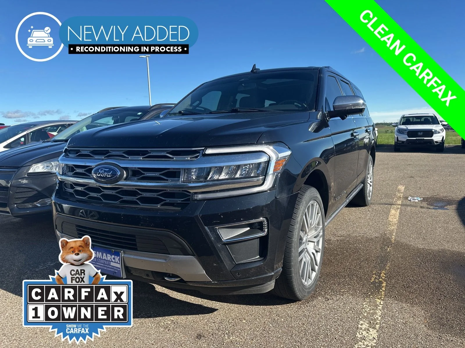 2023 Ford Expedition Platinum 4x4's photo