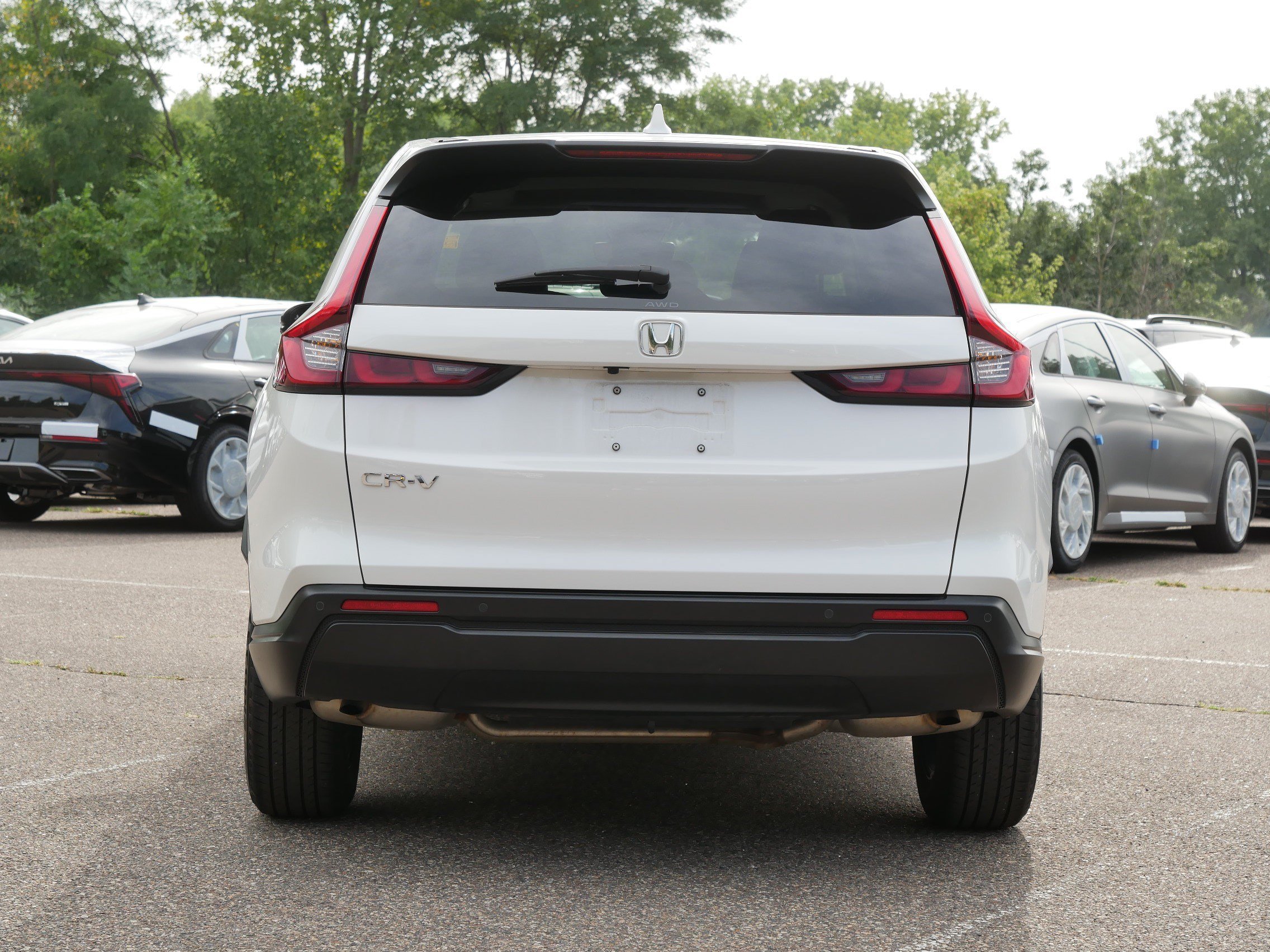 Used 2026 White Honda EX-L image 6