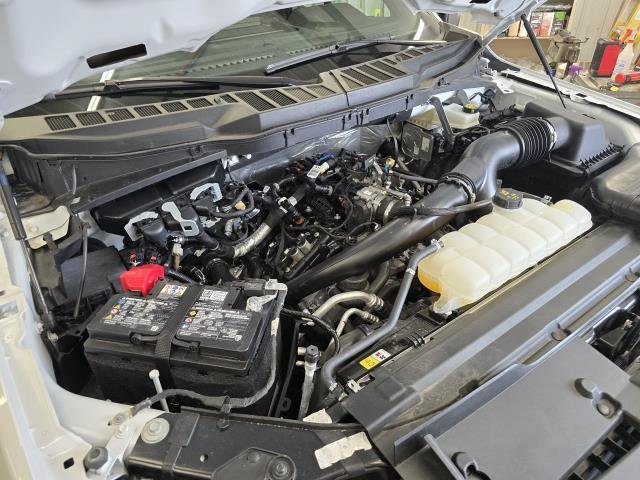Used 2025 Oxford White FORD STX image 33