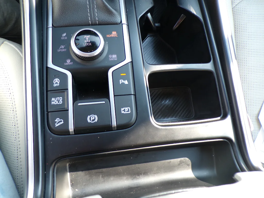 Used 2024 Jungle Green Kia X-Line EX image 34