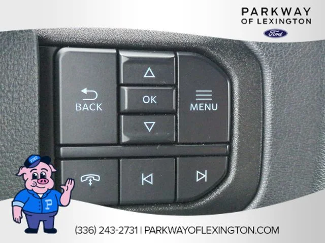 Used 2025 White Ford STX image 17
